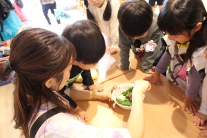 豆苗を食べてみよう