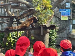年長組　野毛山動物園に行きました